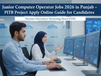 Punjab Information Technology Board jobs