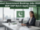 Bank of Punjab Jobs 2026